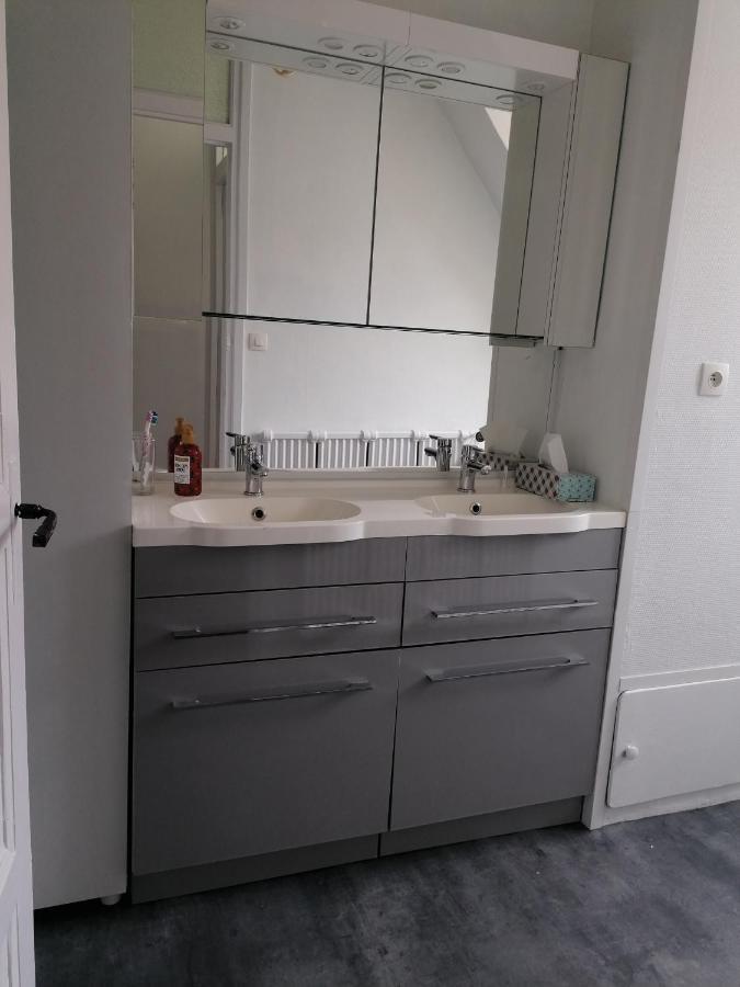 Appartement 85 m2 centre-ville entièrement rénové Le Creusot Exterior foto